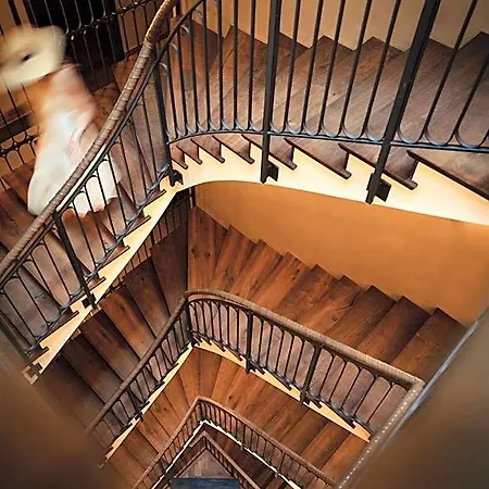 Miiro The Mansard 4* גשטאט